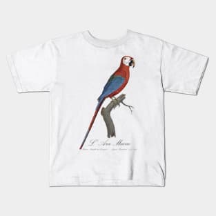 Red and Green Macaw Parrot - L' Ara Macao - Jacques Barraband 19th century Illustration Kids T-Shirt